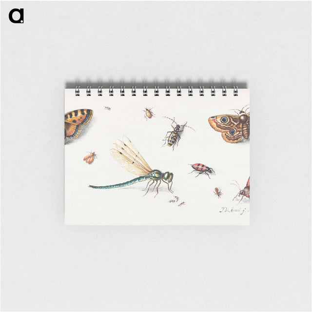 アートメモ帳-Insects and Butterflies
 - ヤン ファン ケッセル Memo.