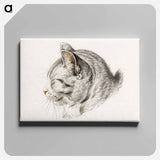 アートパネル-Sketch of a cat - ジャン ベルナール Canvas.