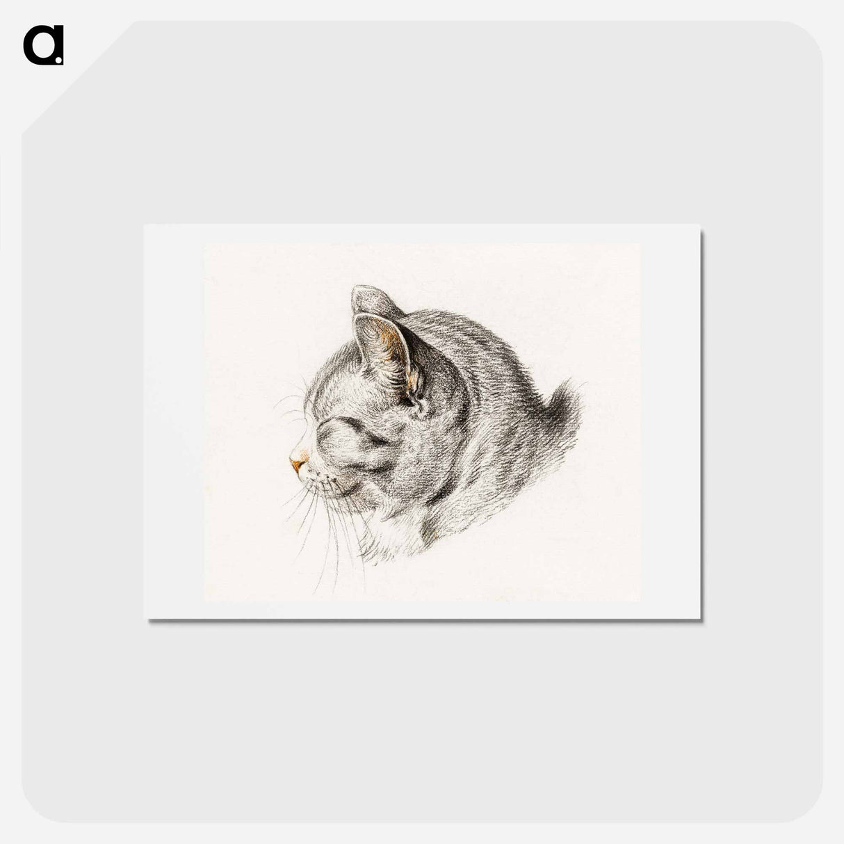 アートポストカード-Sketch of a cat - ジャン ベルナール Postcard.