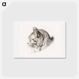 アートポストカード-Sketch of a cat - ジャン ベルナール Postcard.