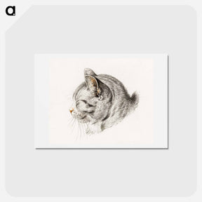 アートポストカード-Sketch of a cat - ジャン ベルナール Postcard.