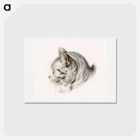 アートポストカード-Sketch of a cat - ジャン ベルナール Postcard.