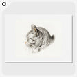 1-10_Jean-Bernard_picture
