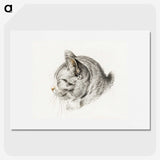 1-10_Jean-Bernard_picture