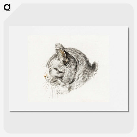 1-10_Jean-Bernard_picture