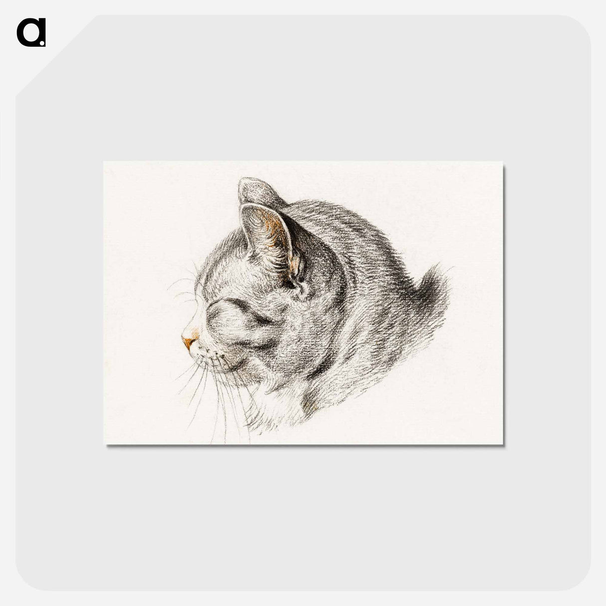 アートポストカード-Sketch of a cat - ジャン ベルナール Postcard.