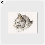 アートポストカード-Sketch of a cat - ジャン ベルナール Postcard.