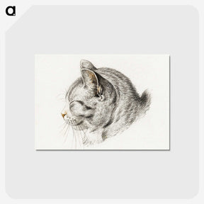 1-10_Jean-Bernard_postcard