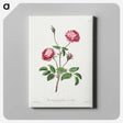1-10_John-Edwards_canvas
