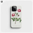 1-10_John-Edwards_phone