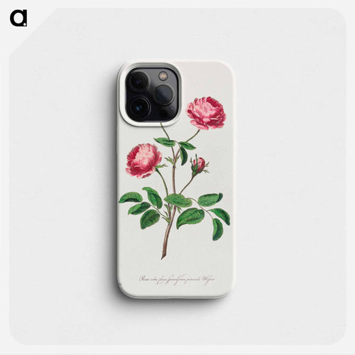 Rosa rubra plena Spinosissima
 - ジョン エドワーズ Phone Case.