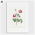 1-10_John-Edwards_picture