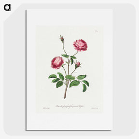 1-10_John-Edwards_picture