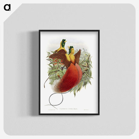 1-10_John-Gould_blk-crop