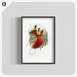 1-10_John-Gould_blk