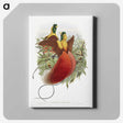 1-10_John-Gould_canvas
