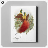 1-10_John-Gould_canvas