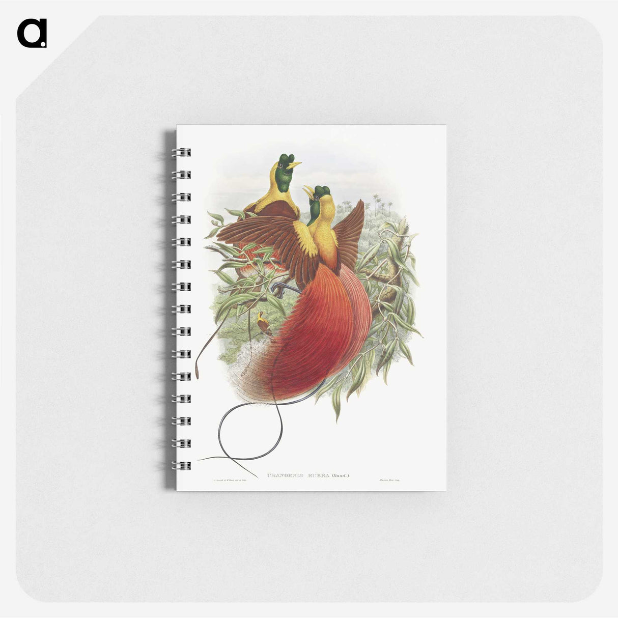 1-10_John-Gould_memo