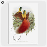 1-10_John-Gould_picture-crop