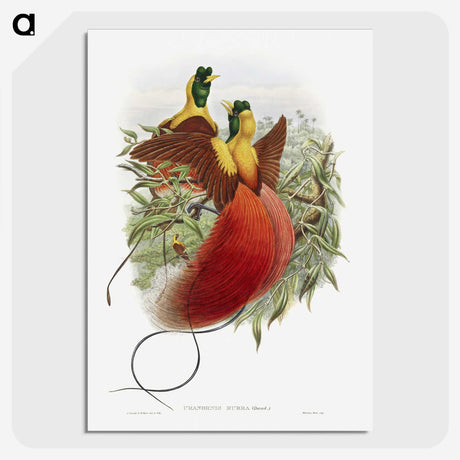 1-10_John-Gould_picture-crop