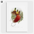 1-10_John-Gould_picture