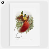 1-10_John-Gould_picture