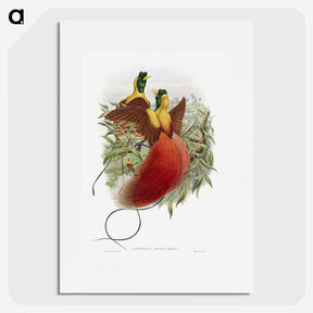 1-10_John-Gould_picture