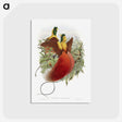 1-10_John-Gould_postcard