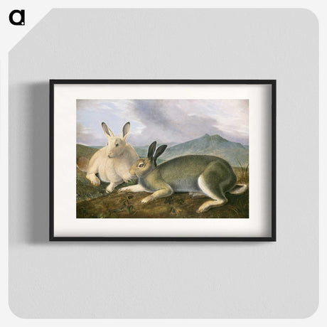 1-10_John-James-Audubon_blk