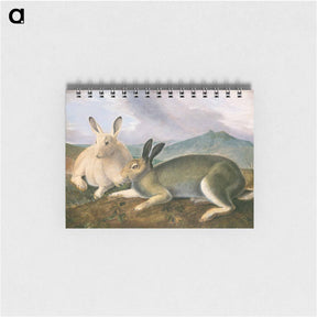アートメモ帳-Arctic Hare
 - ジョン ジェームス オーデュボン Memo.