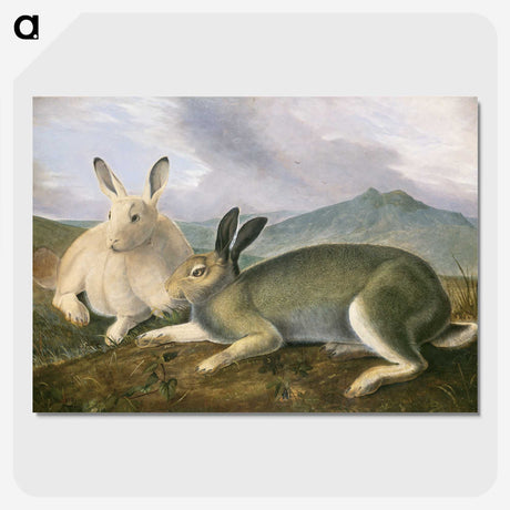 1-10_John-James-Audubon_picture-crop