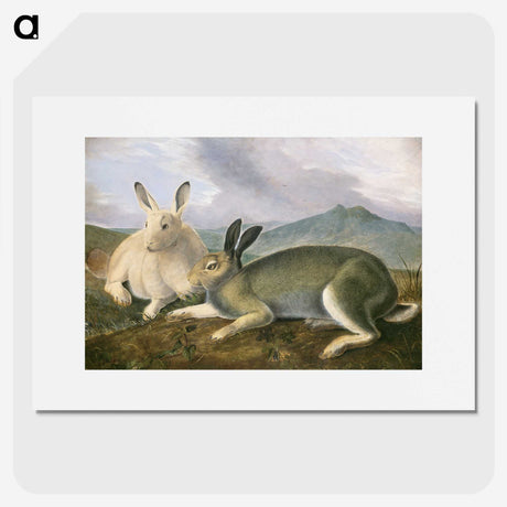 1-10_John-James-Audubon_picture