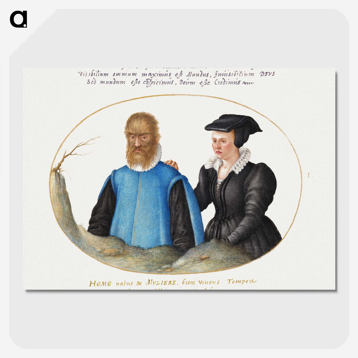 1-10_Joris-Hoefnagel_picture-crop