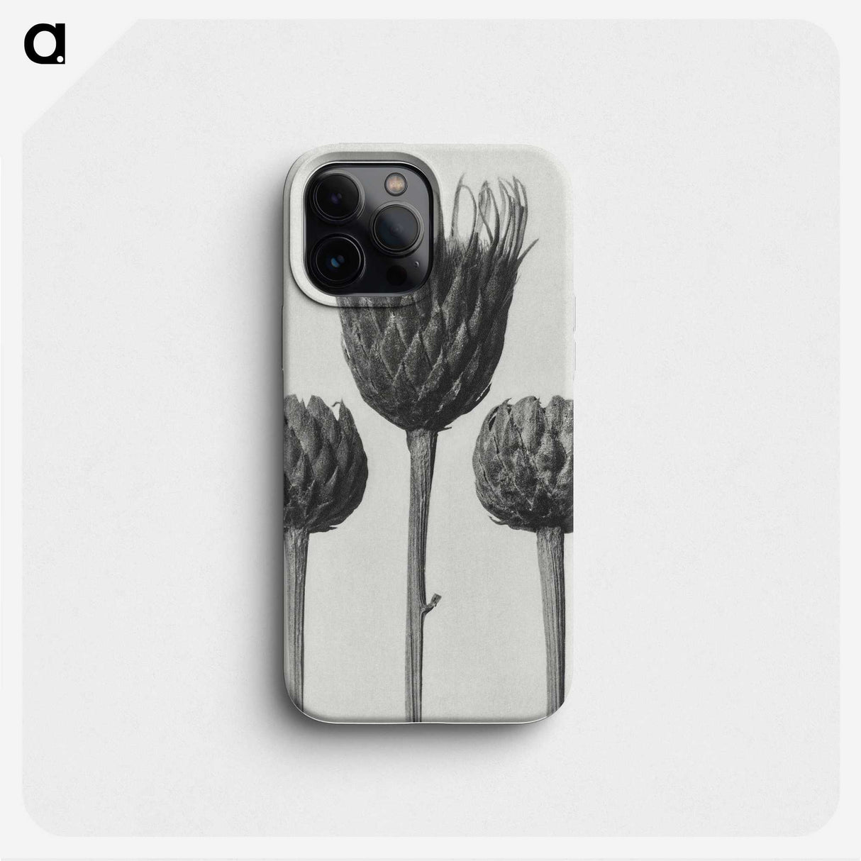1-10_Karl-Blossfeldt_phone