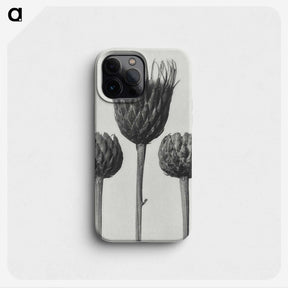 1-10_Karl-Blossfeldt_phone