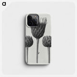 Serratula Nudicaulis - Karl Blossfeldt Phone Case.