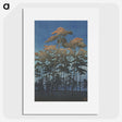 1-10_Kawase-Hasui_picture