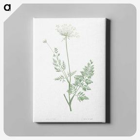 1-10_La-Botanique_canvas