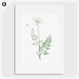 1-10_La-Botanique_picture