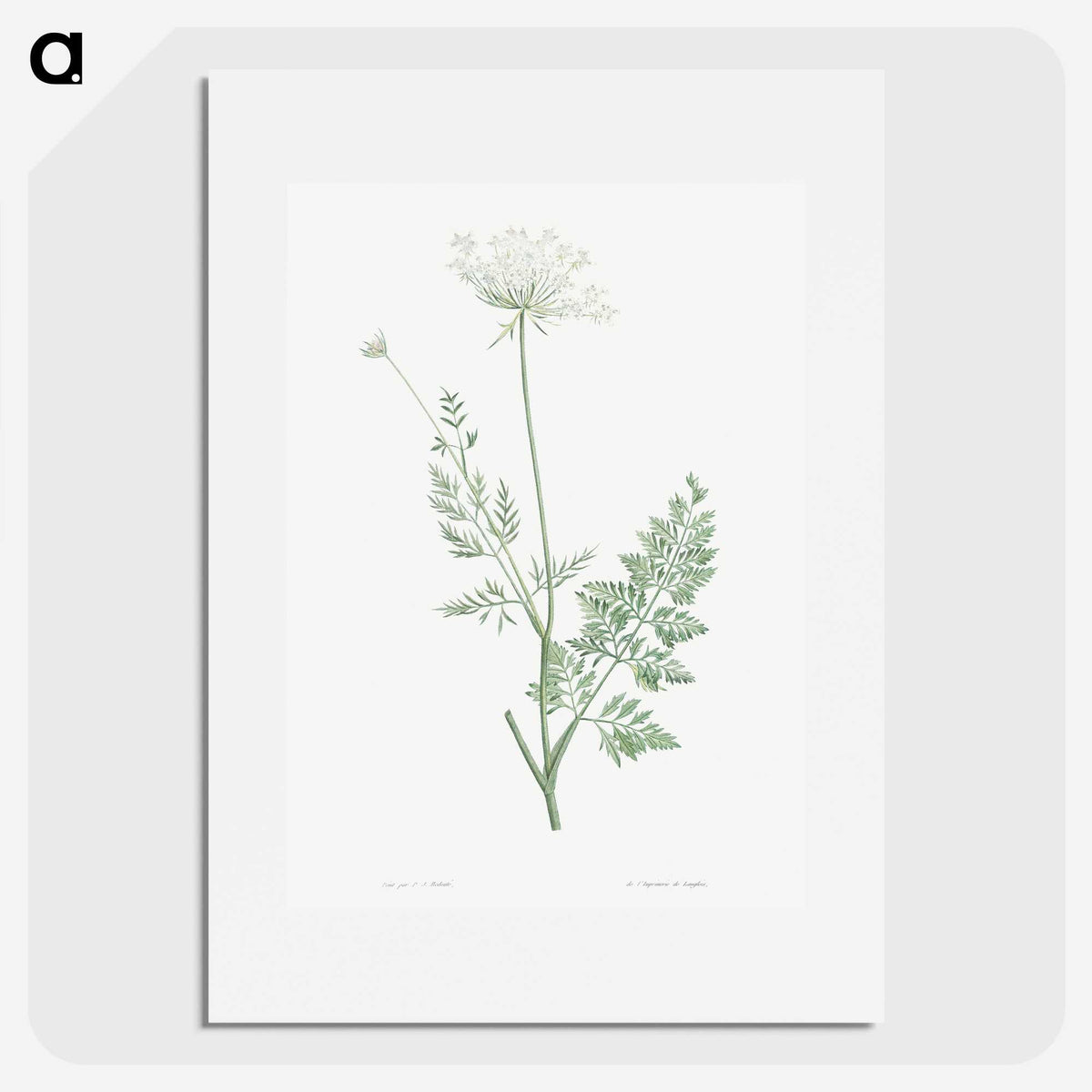 1-10_La-Botanique_picture