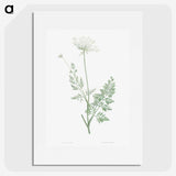 1-10_La-Botanique_picture