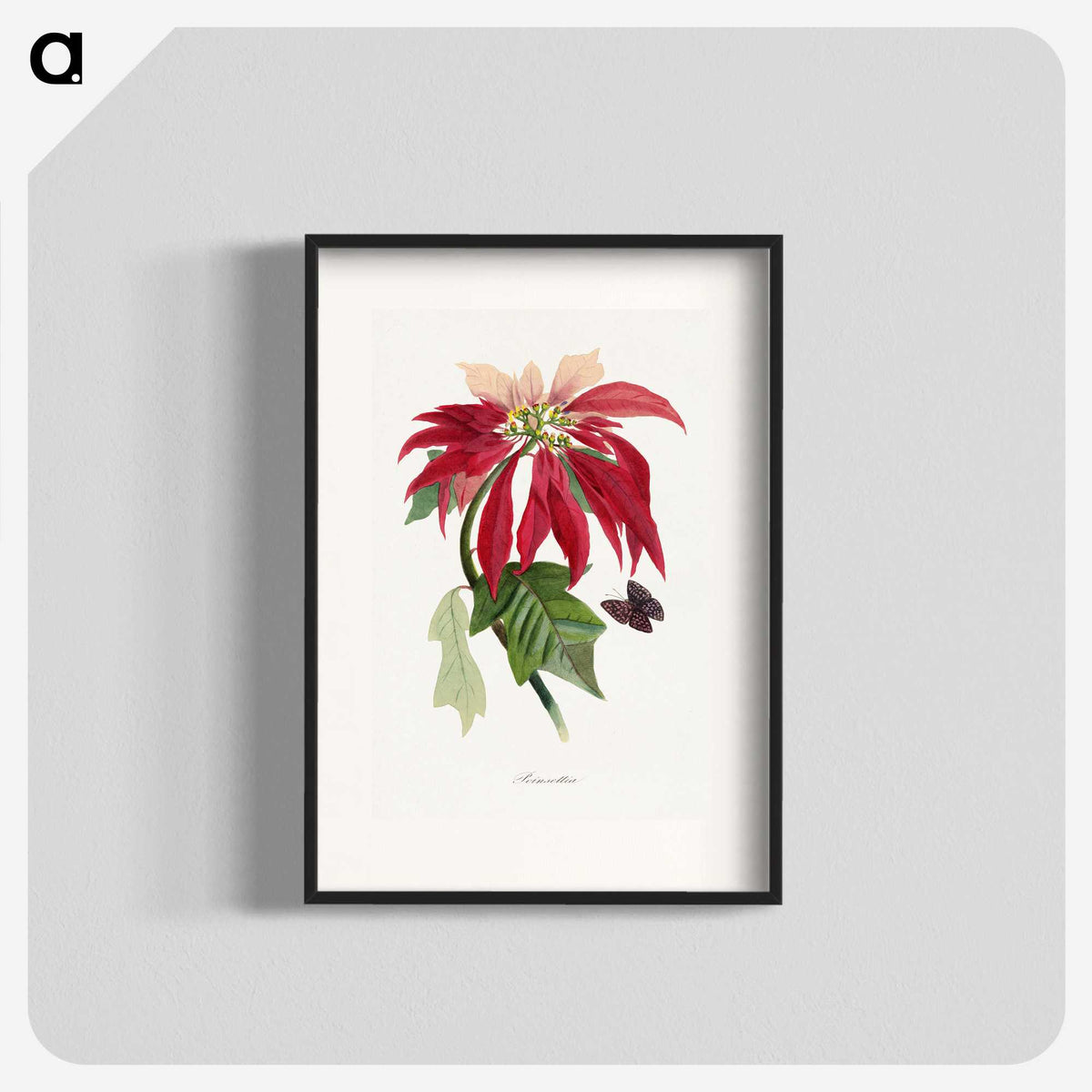 1-10_Le-Jardin-des-Plantes_blk