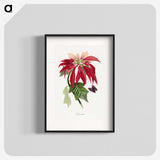 1-10_Le-Jardin-des-Plantes_blk