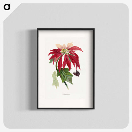 1-10_Le-Jardin-des-Plantes_blk