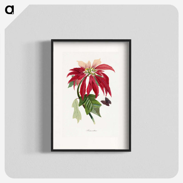 1-10_Le-Jardin-des-Plantes_blk