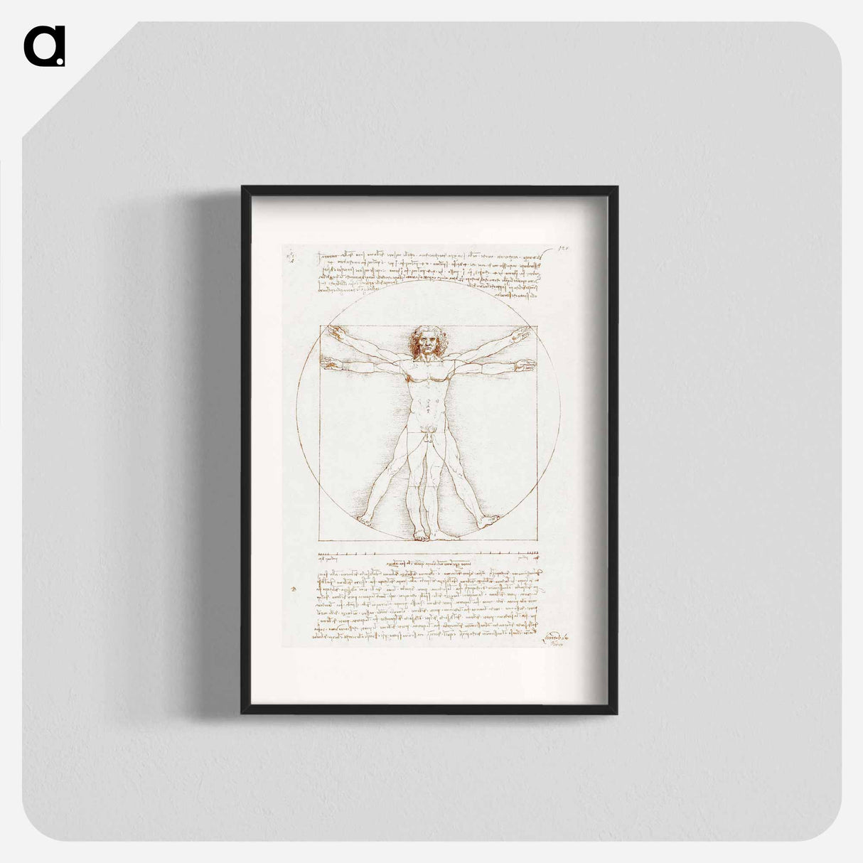 Vitruvian Man - Leonardo da Vinci Poster.