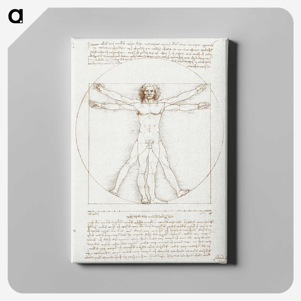 1-10_Leonardo-Da-Vinci_canvas