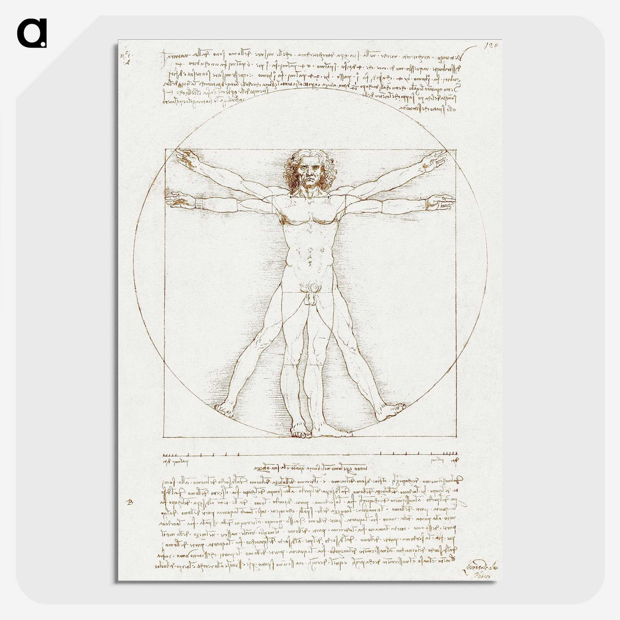 1-10_Leonardo-Da-Vinci_picture-crop