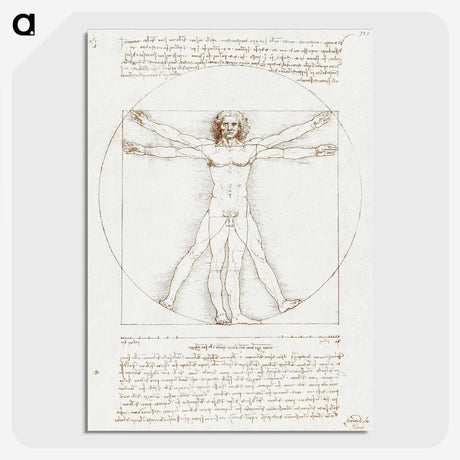 1-10_Leonardo-Da-Vinci_picture-crop