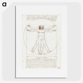 1-10_Leonardo-Da-Vinci_picture